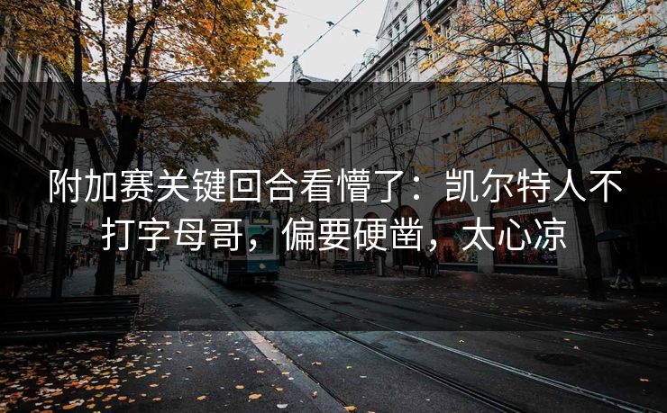 附加赛关键回合看懵了：凯尔特人不打字母哥，偏要硬凿，太心凉