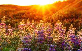 大满贯别只看比分：德约科维奇这一套网前调整，直接把对手心态打崩