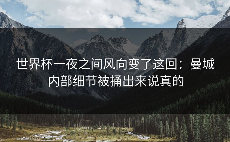 世界杯一夜之间风向变了这回：曼城内部细节被捅出来说真的